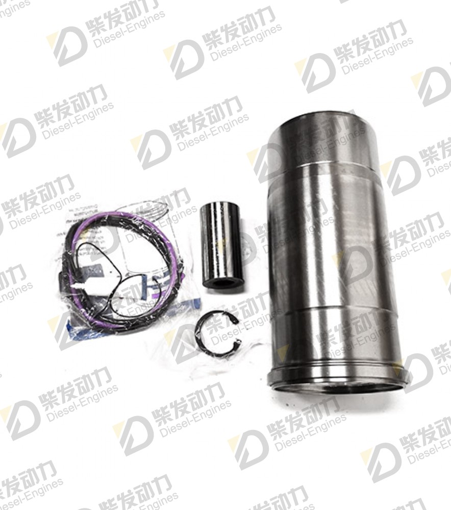 Cylinder liner kit 876183 